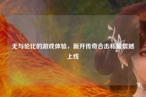 无与伦比的游戏体验，新开传奇合击私服震撼上线