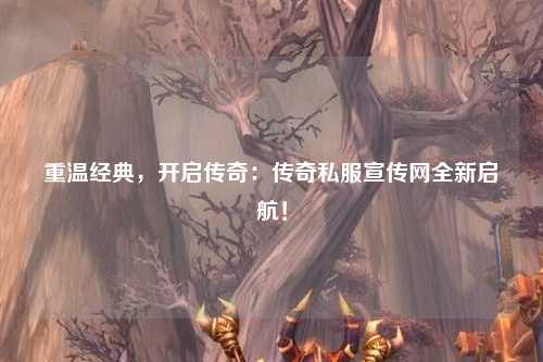 重温经典，开启传奇：传奇私服宣传网全新启航！